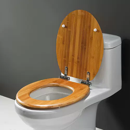 Das Material des Toilettensitzes